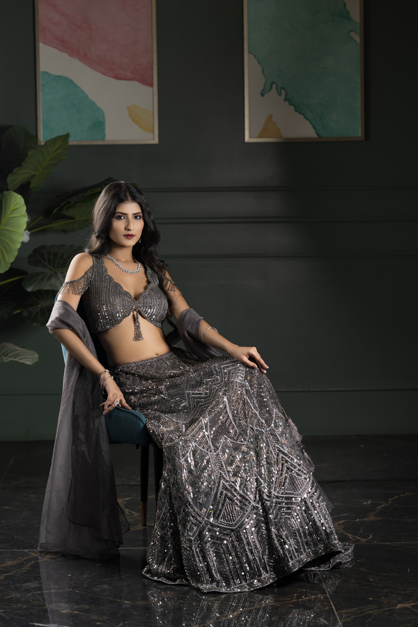 Net lehenga with Full Steal Grey Sequence Work on lehenga & Blouse